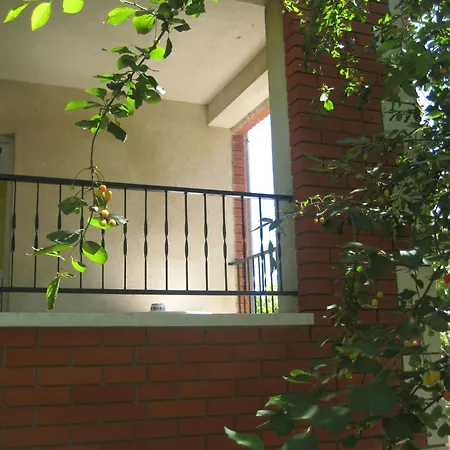 Apartment House Kate