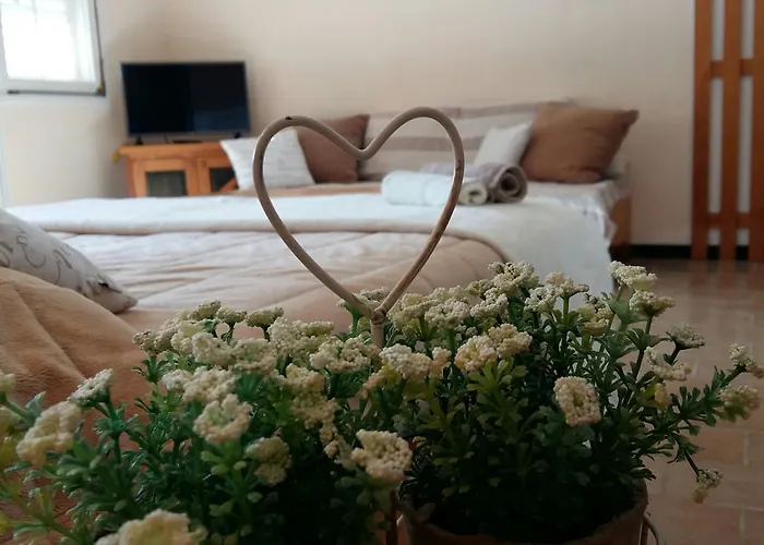 House Kate * Ρόβινι