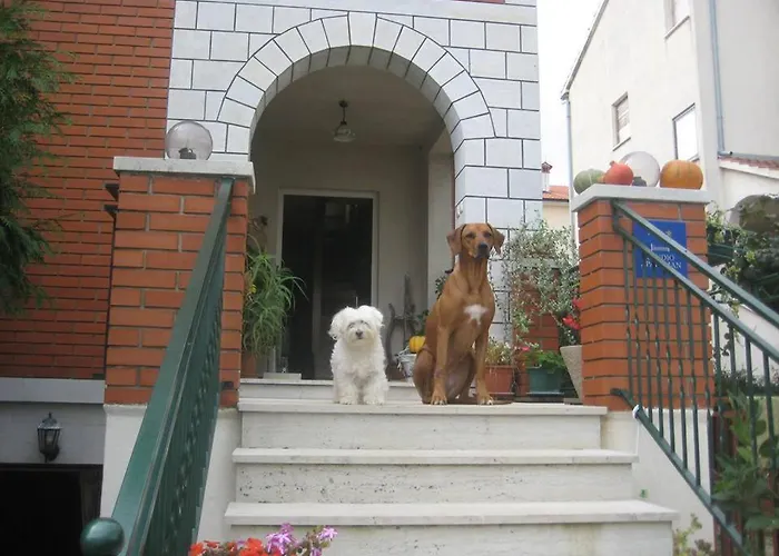 House Kate * Ρόβινι