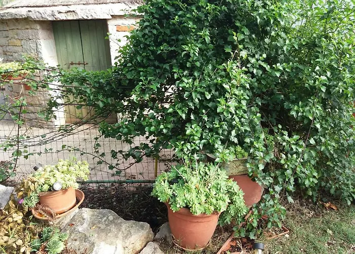 House Kate Ρόβινι